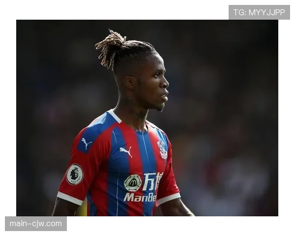 水晶宫防守体系构建 双中卫组合表现稳固